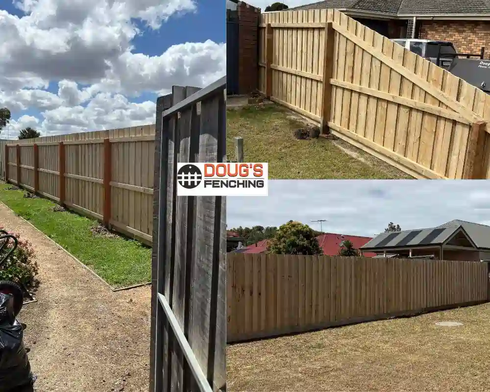 Fencing work